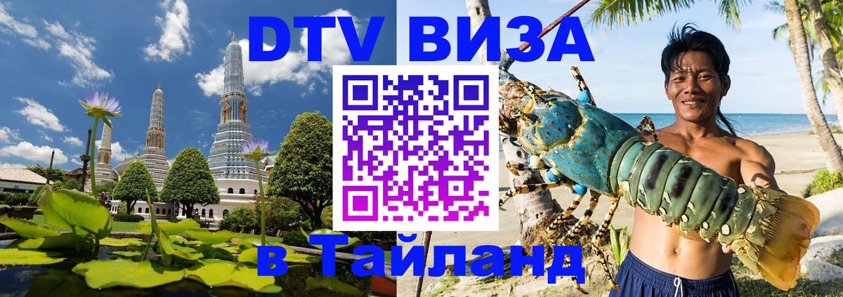 Сколько стоит DTV виза — актуальные цены, оформление даже без документов - Северодвинск 